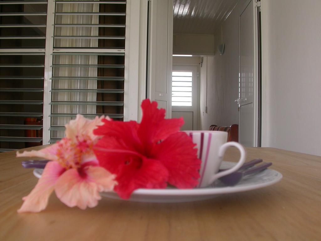 הוילה סנטה-אנה Maison De Vacances A St Anne Martinique מראה חיצוני תמונה